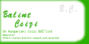 balint csizi business card